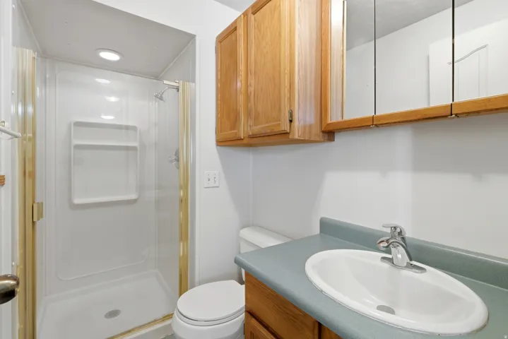 Shower stall with integrated shelving, recessed lighting, wood-finish cabinetry, built-in medicine cabinet, and vanity with an oval sink