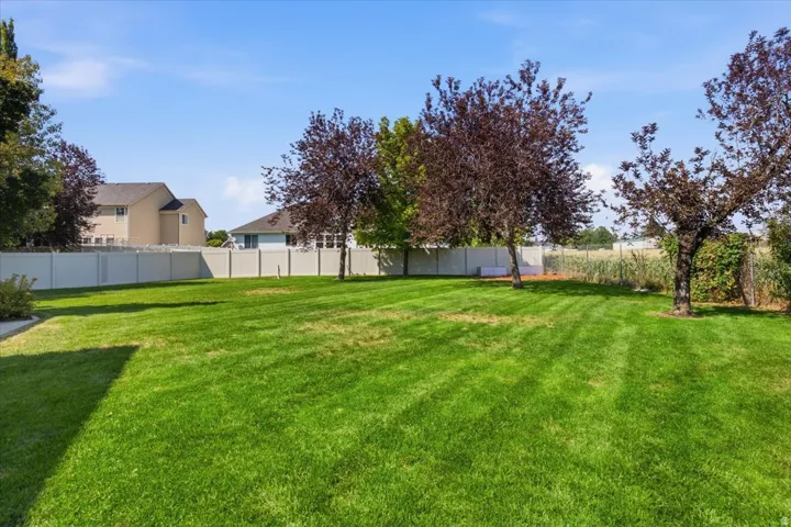 Expansive lawn bordered by a perimeter fence and mature trees