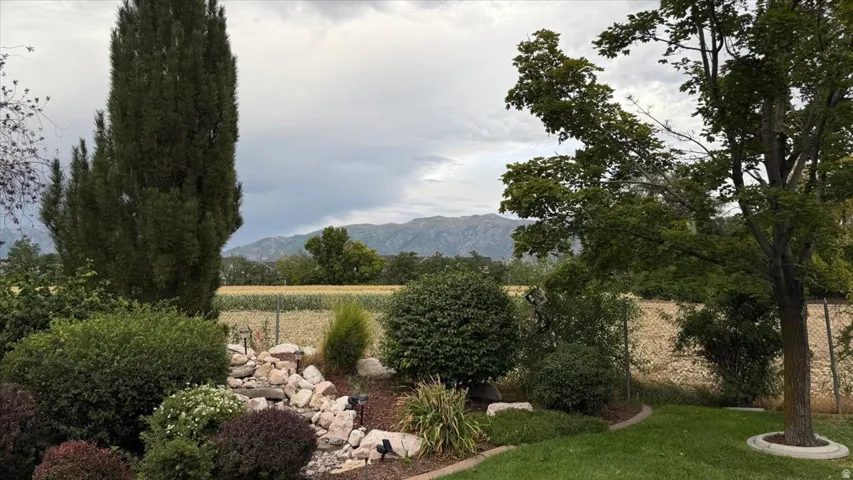 Landscaped backyard featuring a rock water feature, mature trees, and a manicured lawn