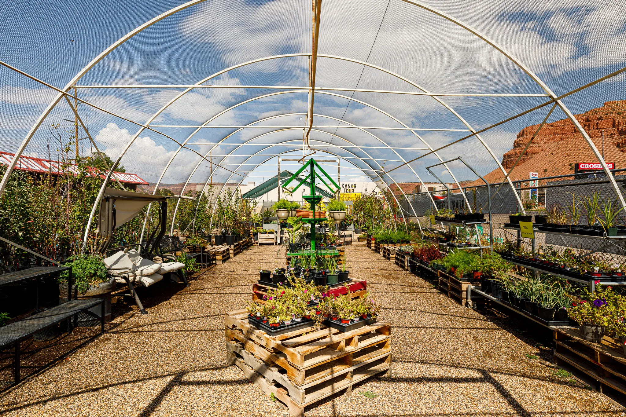 Hoop house structure with gravel flooring, various plants in containers, and a tiered plant display