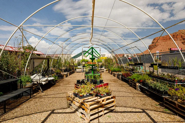 Hoop house structure with gravel flooring, various plants in containers, and a tiered plant display