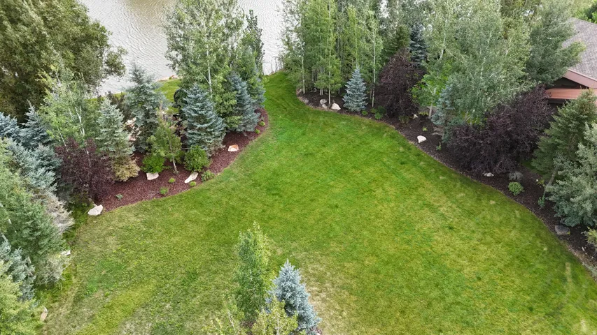 Expansive manicured lawn bordered by diverse mature trees and shrubs