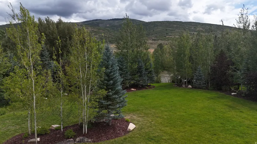 Expansive green lawn with mature trees, established landscaping, and a mountainous backdrop