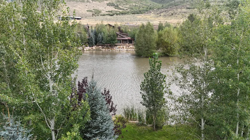 Waterfront setting with a natural shoreline and surrounding mature trees