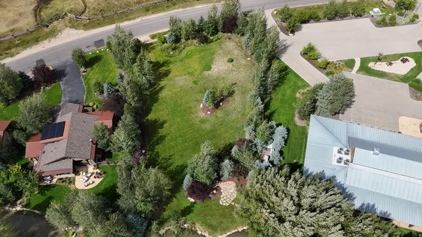 Expansive lot featuring mature trees, a manicured lawn, and a winding driveway