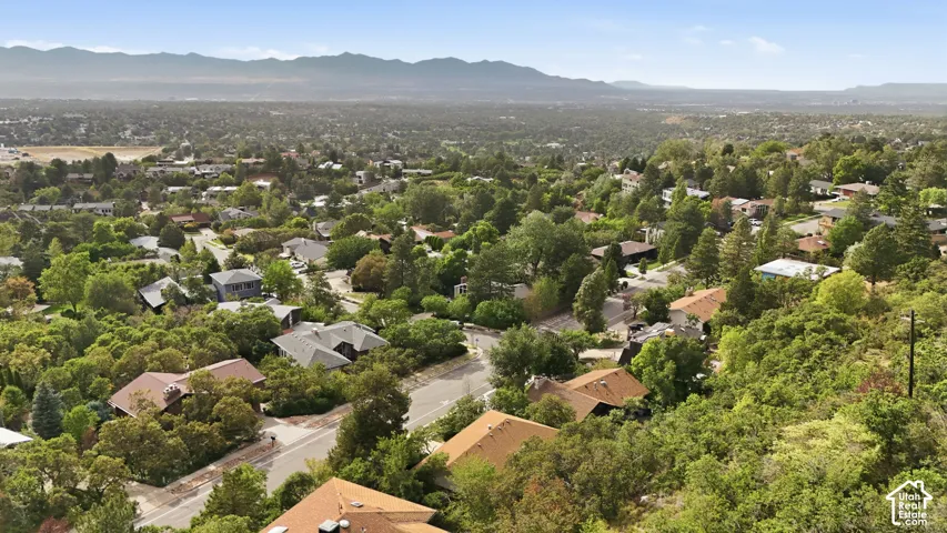 Expansive residential landscape featuring mature trees and distant mountain ranges
