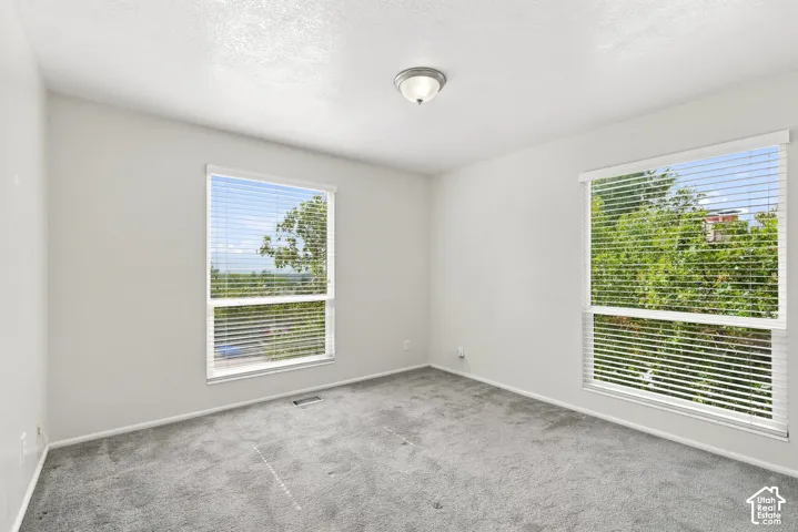 Dual windows with horizontal blinds, overhead flush-mount light fixture, and soft grey carpeting