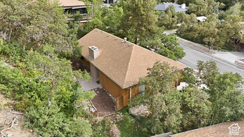 Brown shingle roof, exterior chimney, wood siding, concrete patio, and a sloped, natural landscape