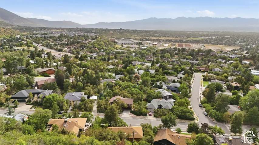 Expansive neighborhood setting with established tree cover and distant mountain ranges