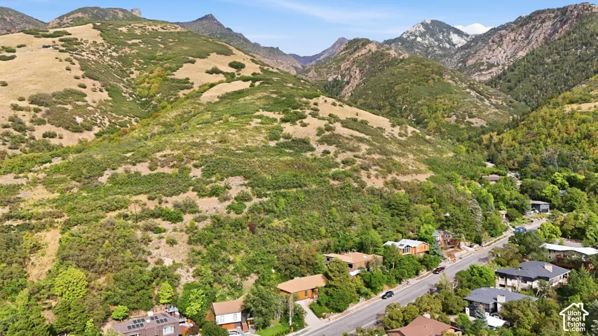 Mountainous terrain with lush green foliage and scattered residential properties along a winding roadway