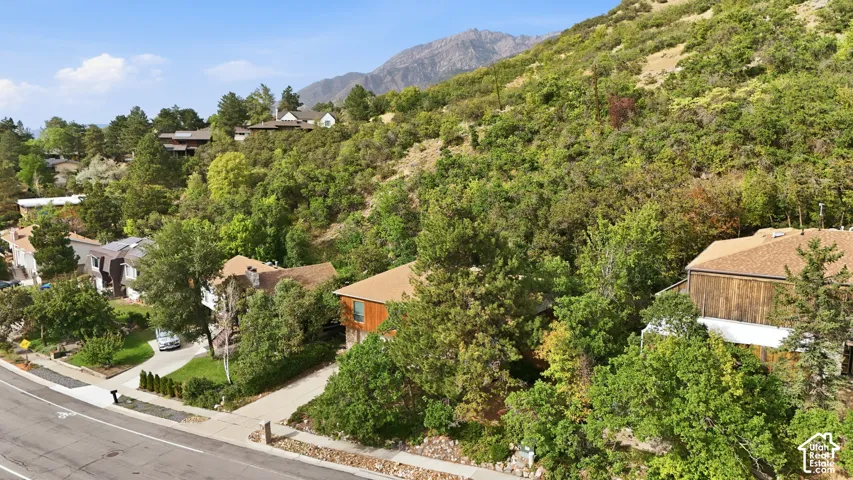 Residential property featuring a shingled roof, wood siding, and mature landscaping