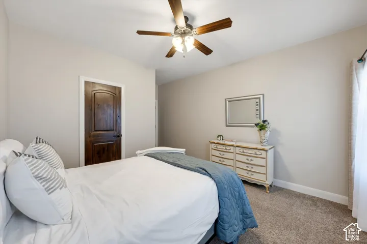 Carpeted flooring, ceiling fan with integrated lighting, wood-finish door, window with curtain rod