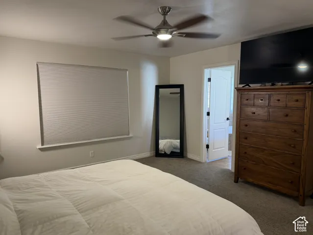 Carpeted bedroom featuring a ceiling fan with integrated lighting, a window with horizontal blinds, and a white interior door with dark hardware