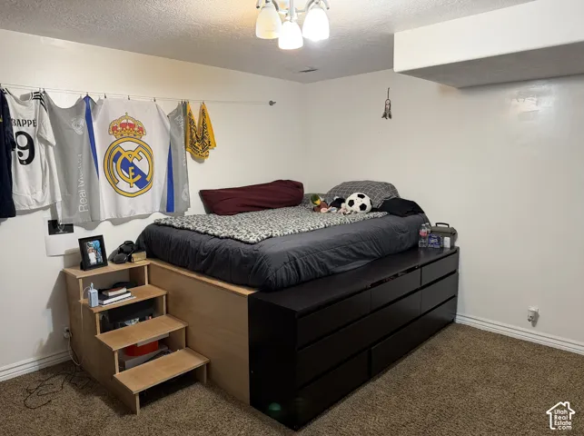Wall-to-wall carpeting with light-colored walls and a ceiling light fixture