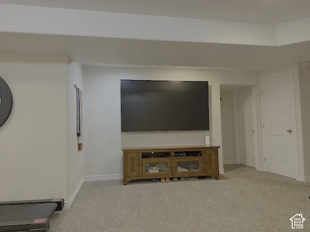 Wall-to-wall carpeting with light-colored walls and white trim