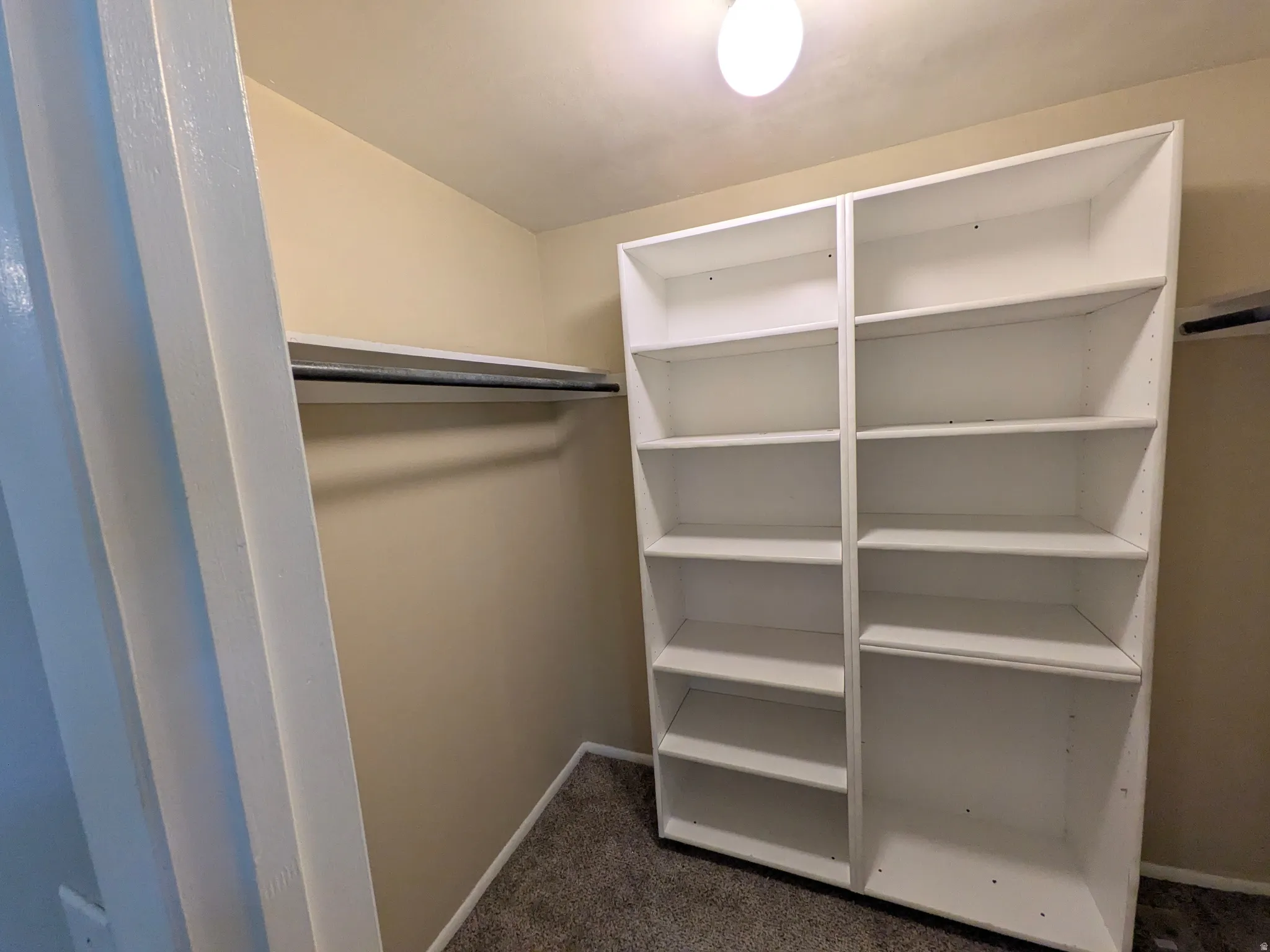 Built-in shelving, hanging rod, and carpet flooring within a closet space, illuminated by an overhead light fixture