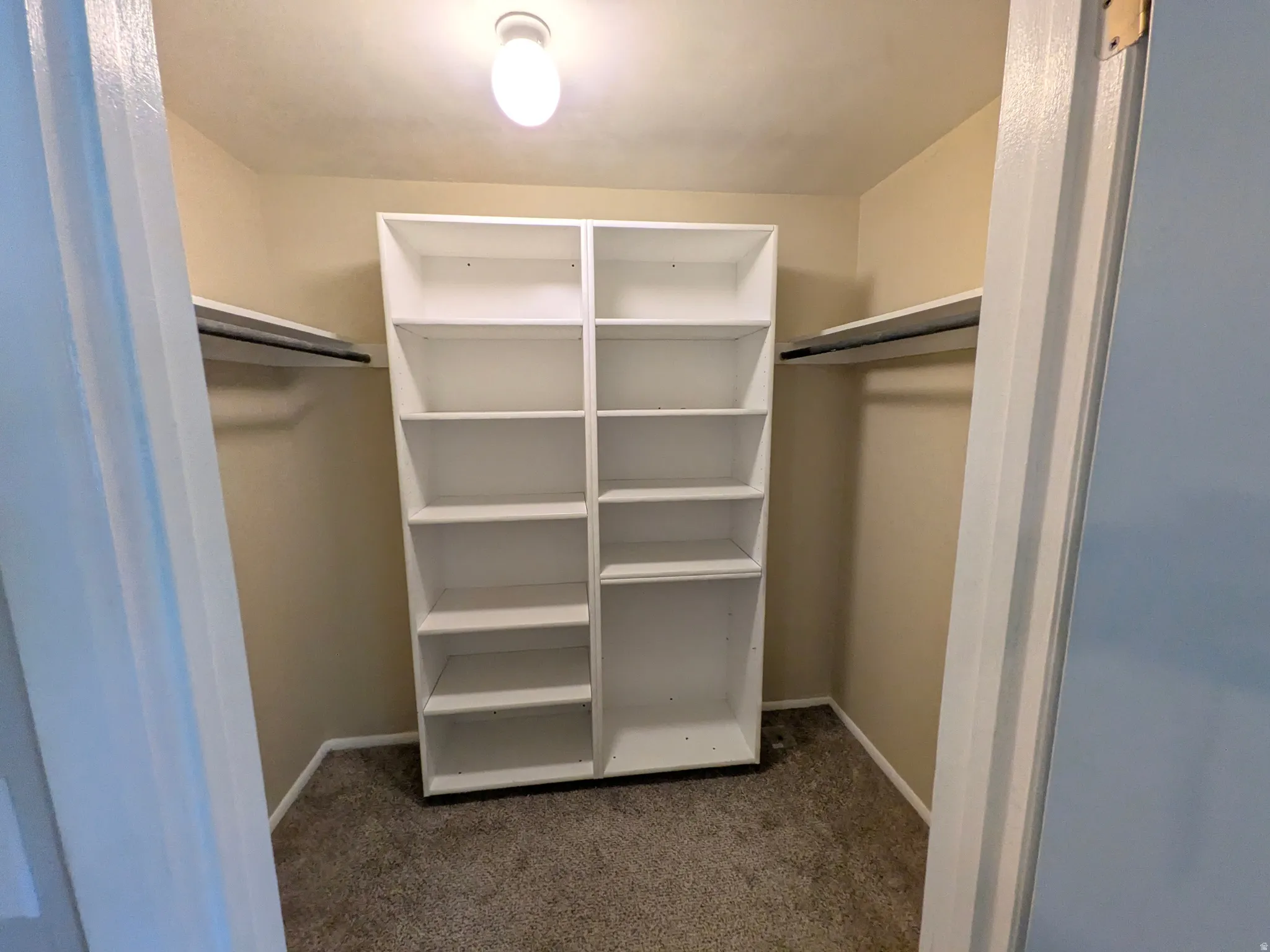 Walk-in closet featuring carpet flooring, built-in shelving, and installed hanging rods