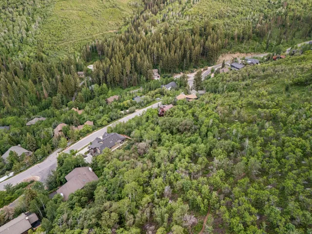 Aerial showing Pinebrook's wooded, low-density streetscape.