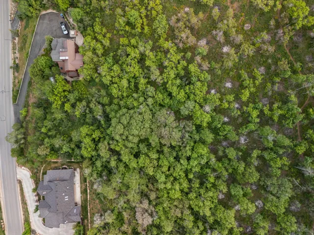 Overhead view of the lot's tree canopy and road frontage.