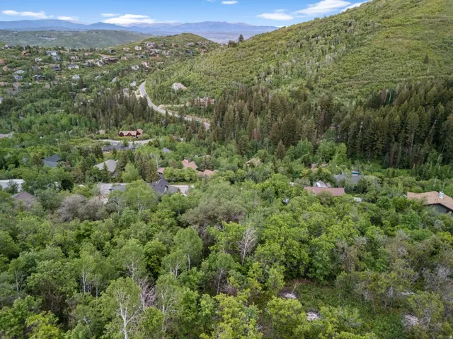 Aerial over the Pinebrook neighborhood and surrounding forest.