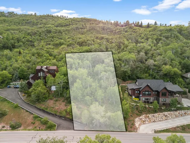 Lot 227 outlined - 0.65 elevated acres in Pinebrook, backing to HOA open space.