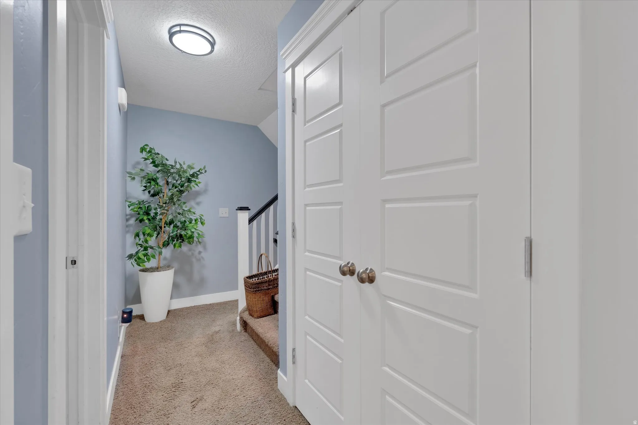 Hallway featuring light blue walls and textured carpeting