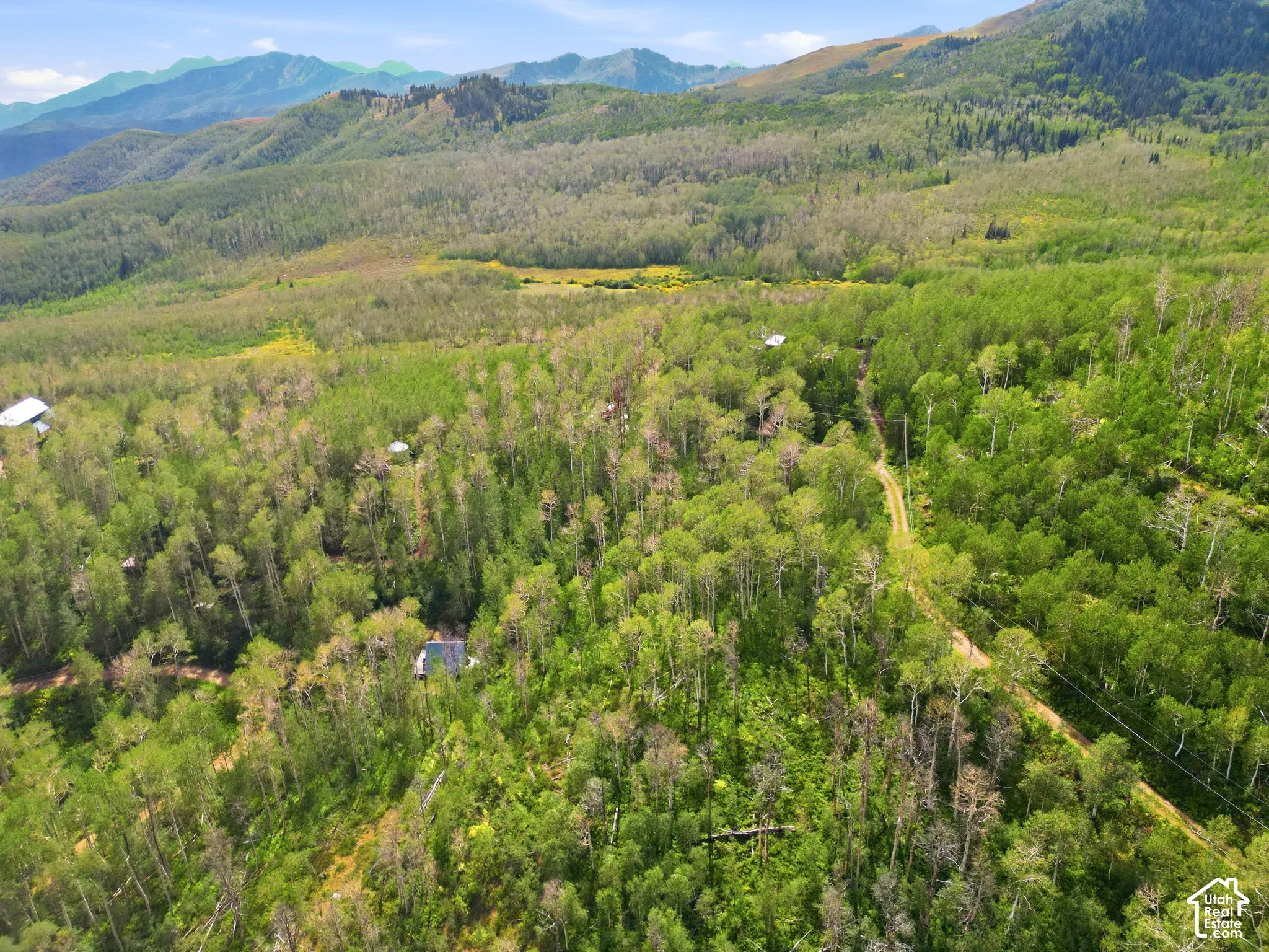 Expansive wooded landscape with a dirt road, multiple structures, and distant mountains
