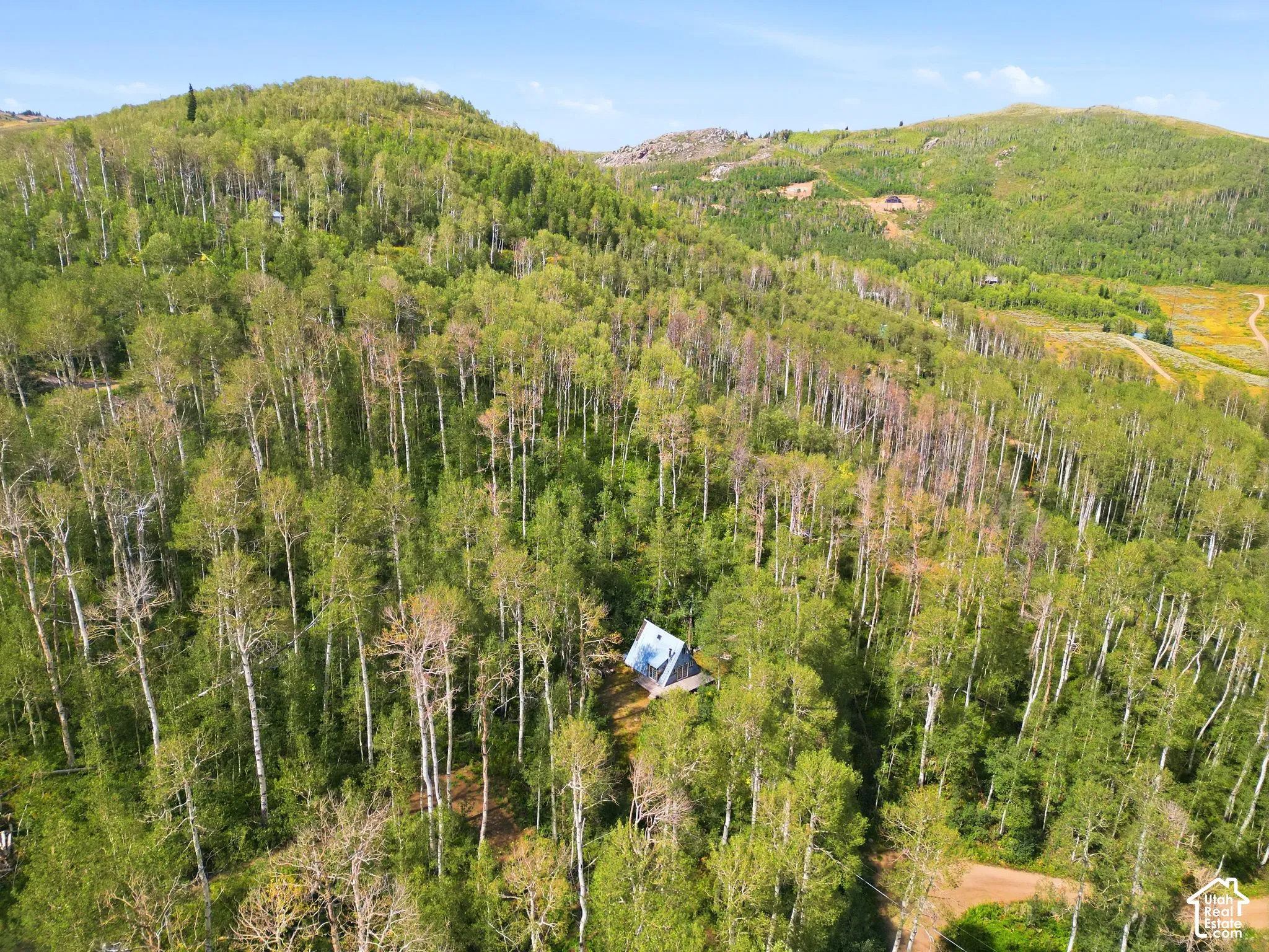 Private mountain property surrounded by mature trees