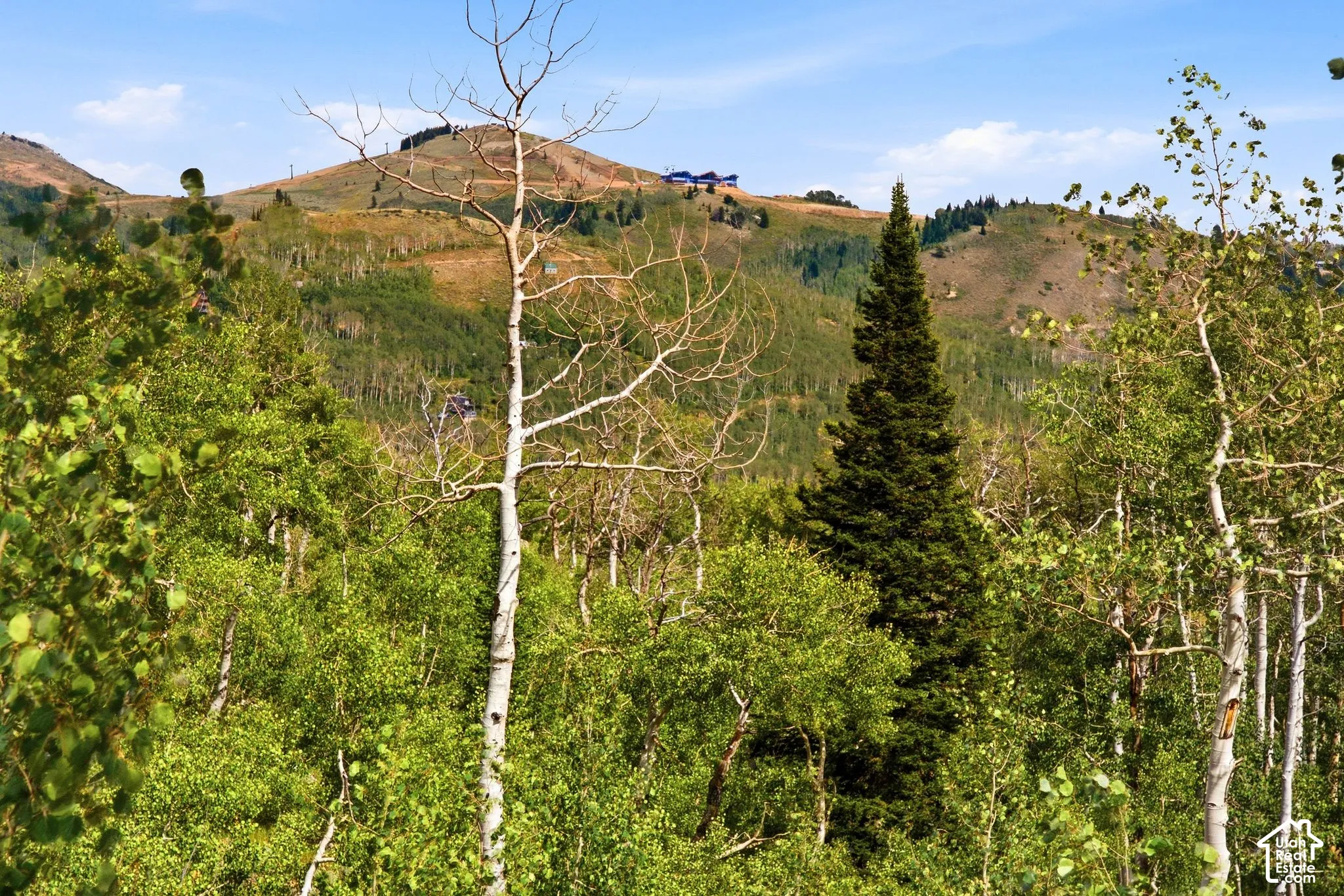 Mountainous landscape featuring verdant foliage and distant structures