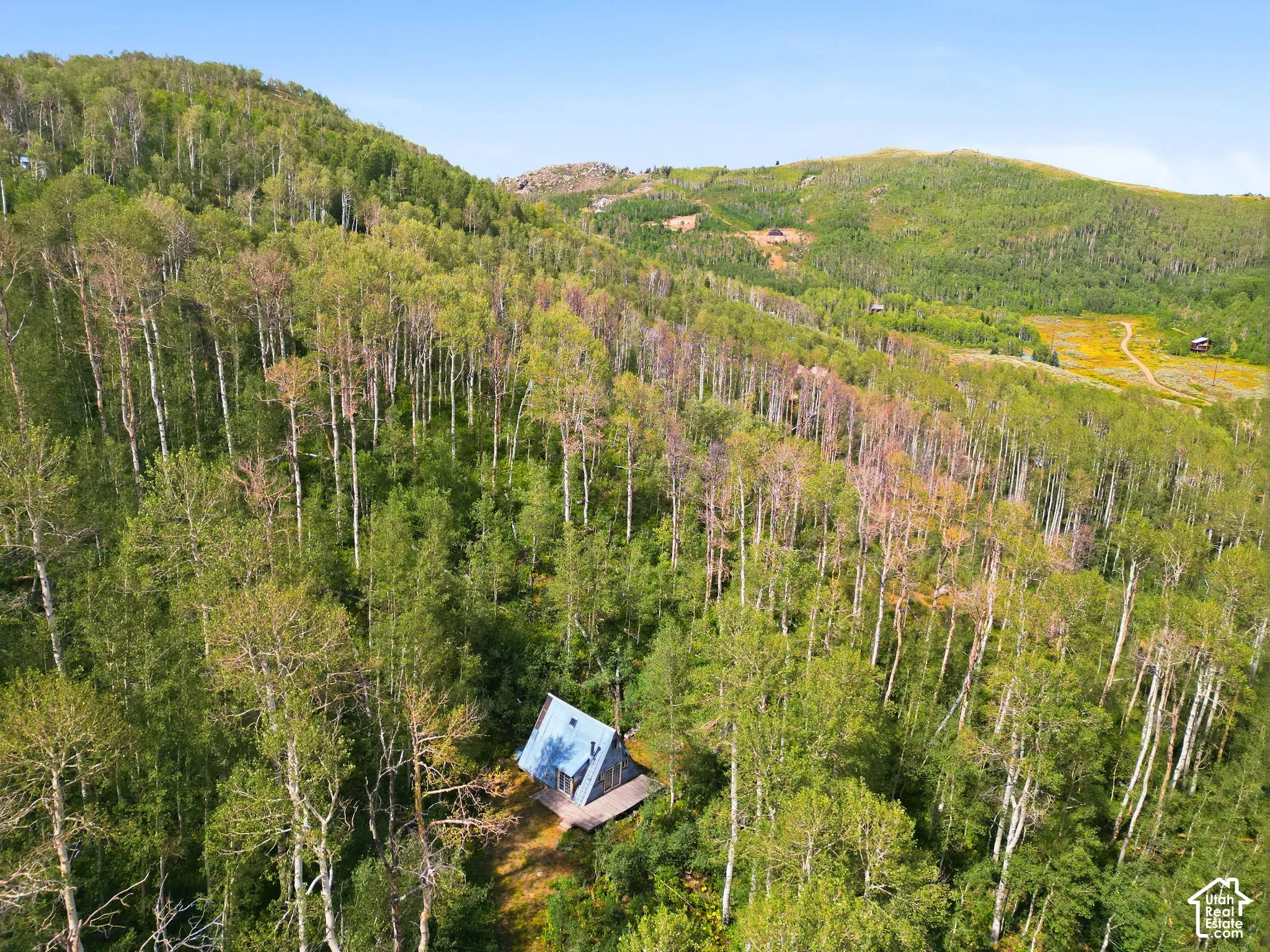 A-frame cabin nestled among dense deciduous trees on a sloping mountain landscape