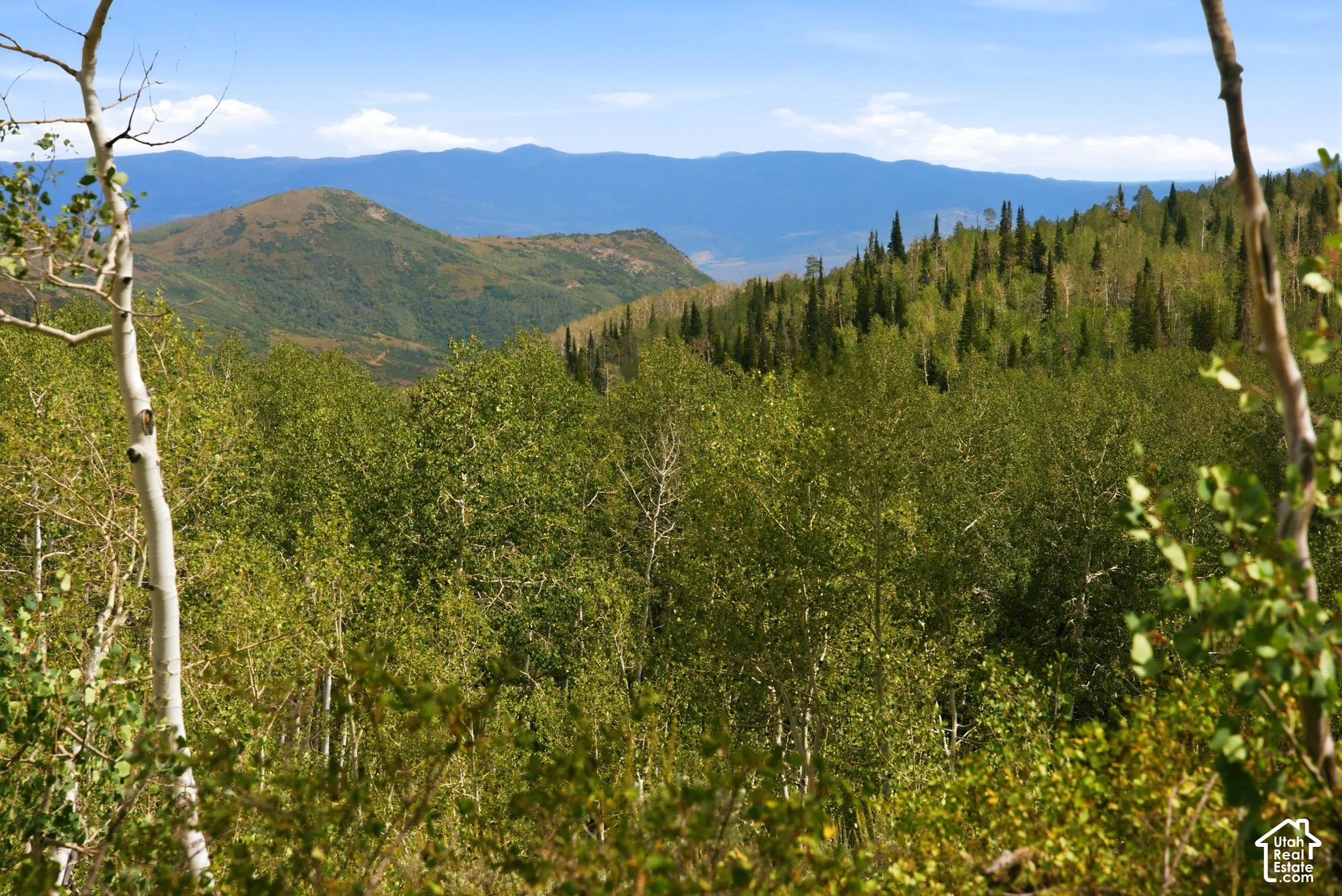 Expansive natural landscape featuring lush green foliage and distant mountain ranges under a clear sky