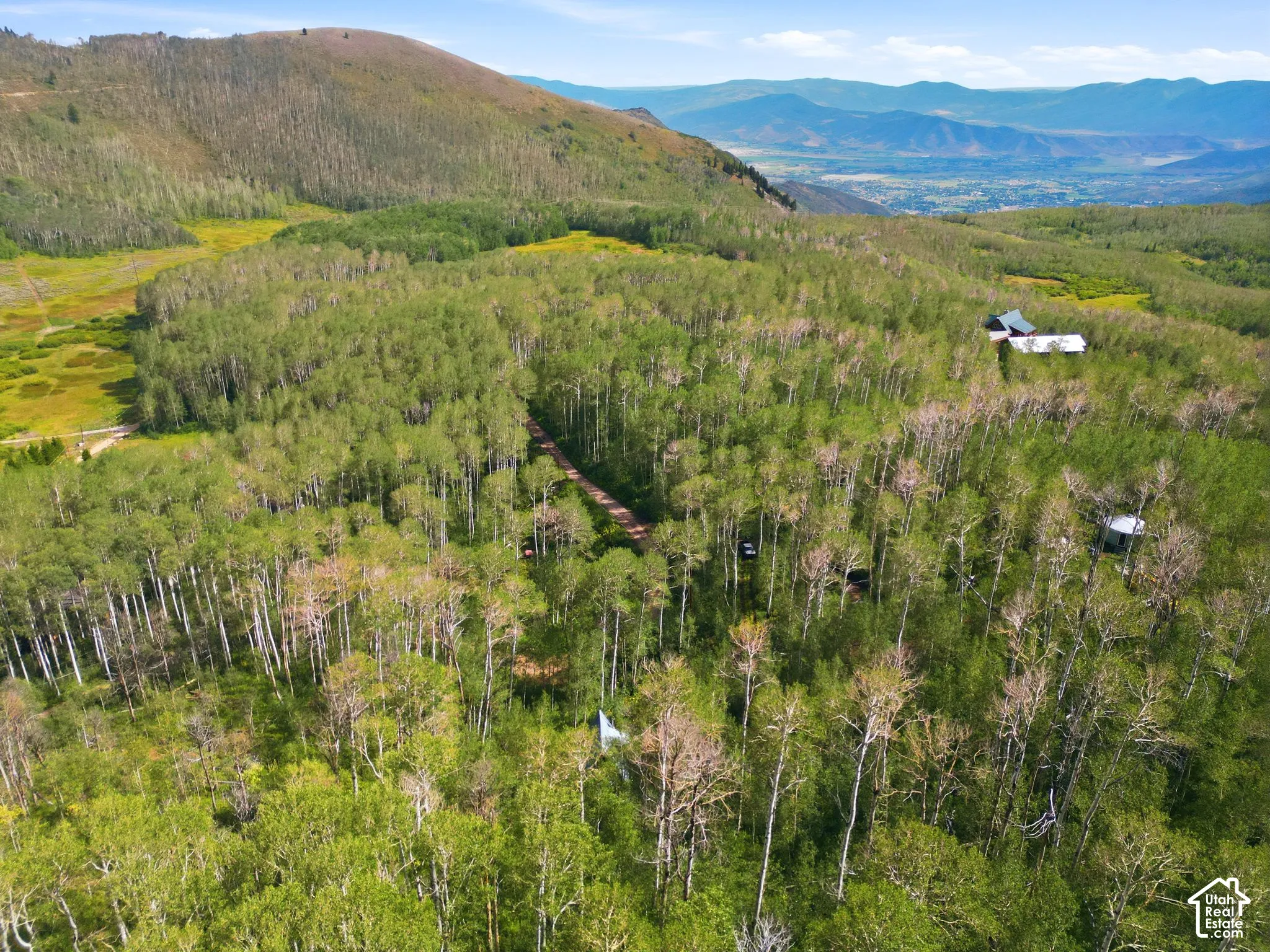 Expansive wooded landscape with a distant mountain backdrop