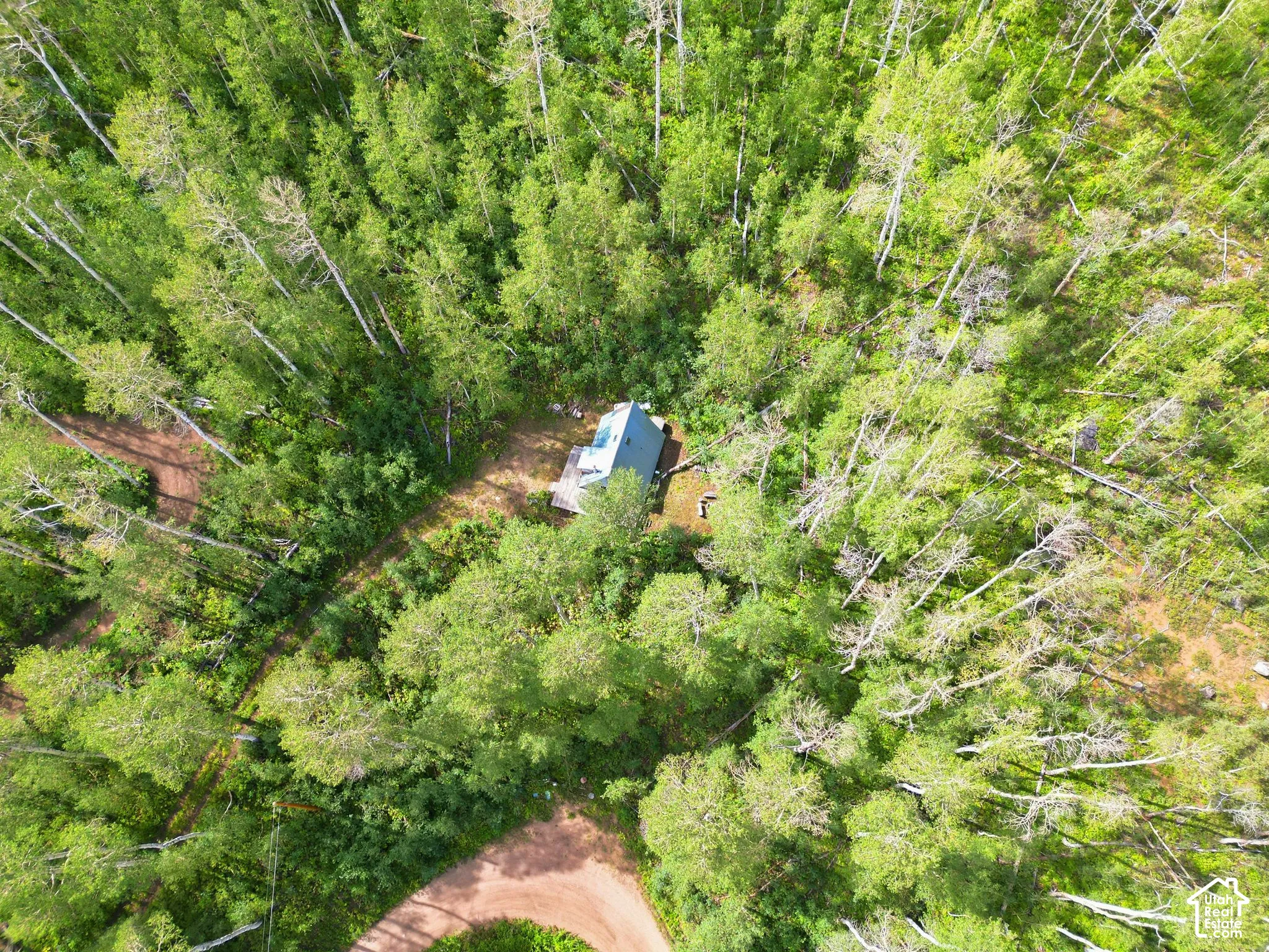 Wooded lot featuring a residential structure with a light-colored roof, surrounded by extensive natural landscaping