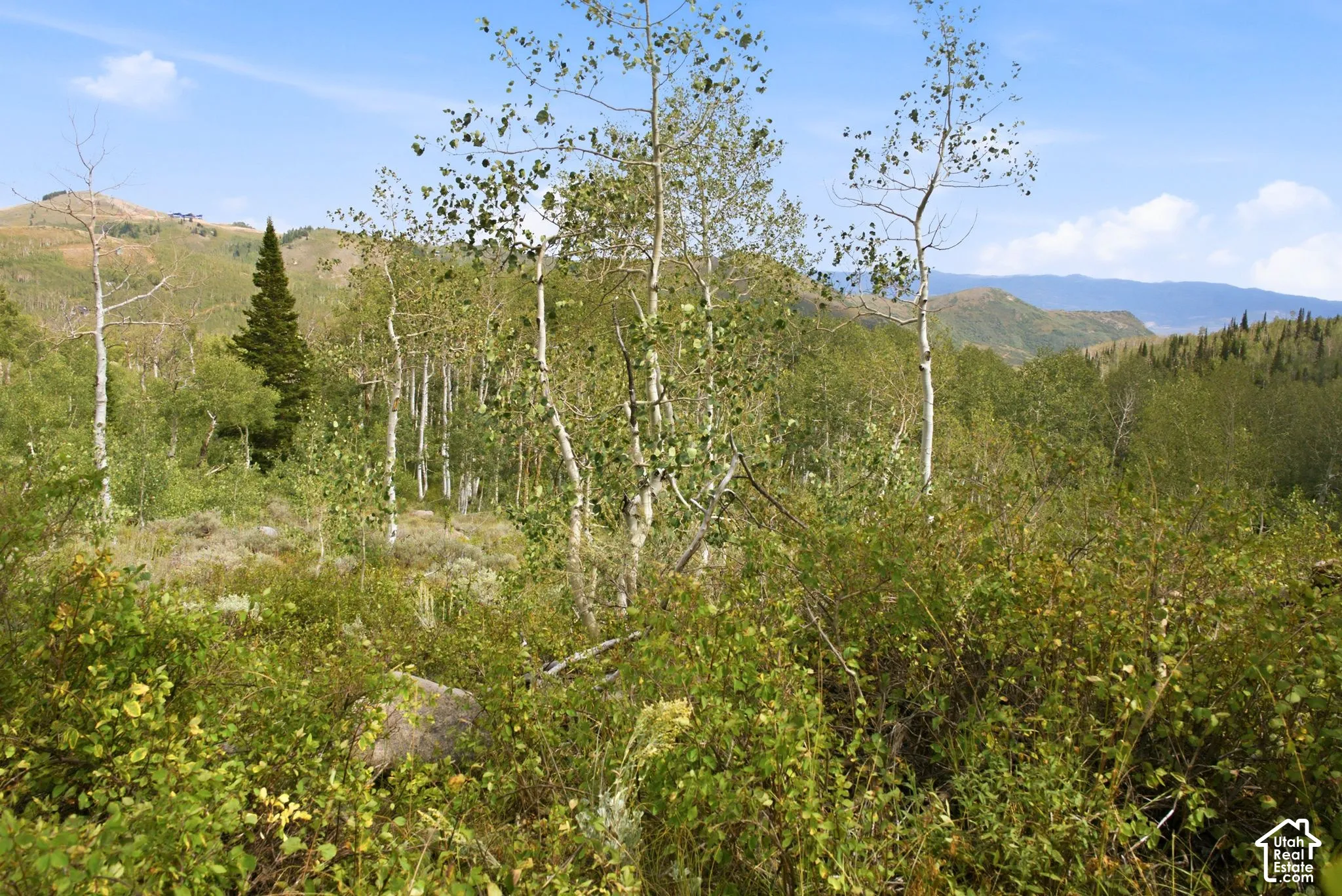 Mountainous terrain with natural vegetation, including deciduous and evergreen trees, under a clear sky
