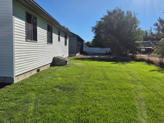 Expansive lawn area with a mature tree