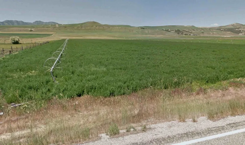 Expansive agricultural field with verdant crops, featuring a center pivot irrigation system