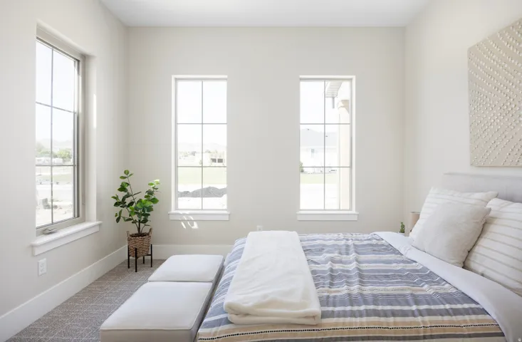 Wall-to-wall carpeting, multiple windows with grid patterns, and neutral wall tones