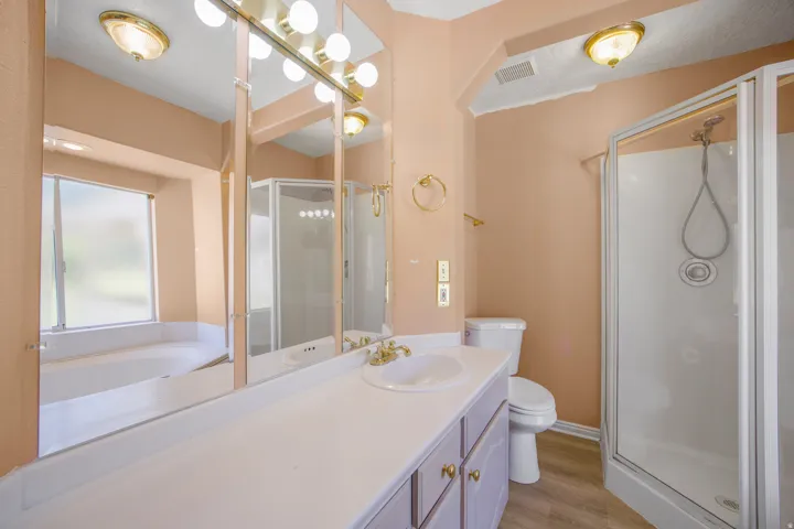 Spacious bathroom featuring a built-in jetted tub, a separate shower enclosure, a single vanity with storage, and a large wall-mounted mirror