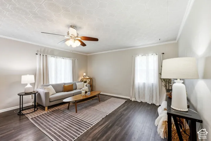 Wood-finish flooring, crown molding, and ceiling fan with lighting