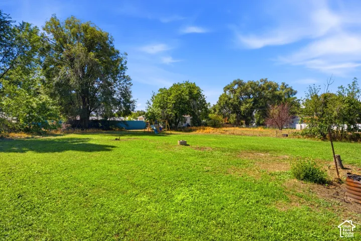 Expansive grassy yard with mature trees