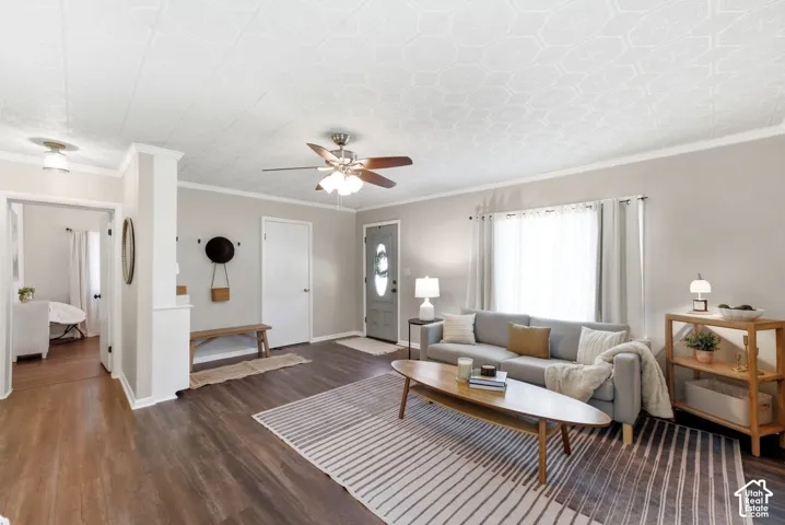 Wood-finish flooring throughout, patterned ceiling, ceiling fan with integrated lighting, and multiple windows with curtain rods