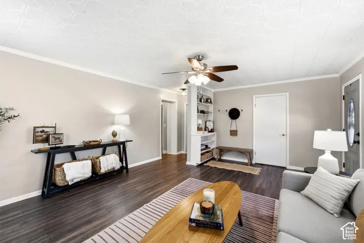 Wood-finish flooring throughout, light neutral wall paint, white crown molding, ceiling fan with integrated lighting, and built-in shelving