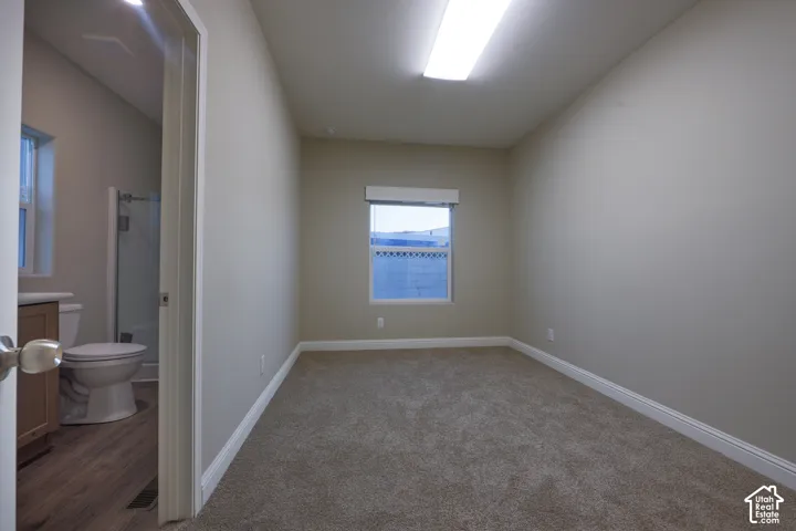 Neutral tone walls, carpet flooring, a single window, and an overhead fluorescent light fixture