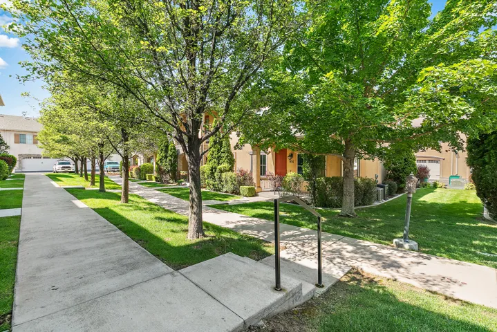 Manicured front yard with mature trees, established landscaping, and concrete walkways