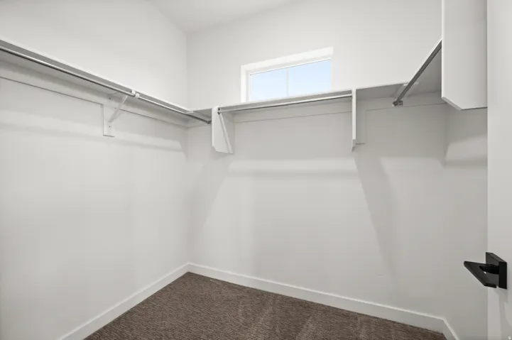 Walk-in closet featuring built-in shelving, hanging rods, an upper window, and carpet flooring