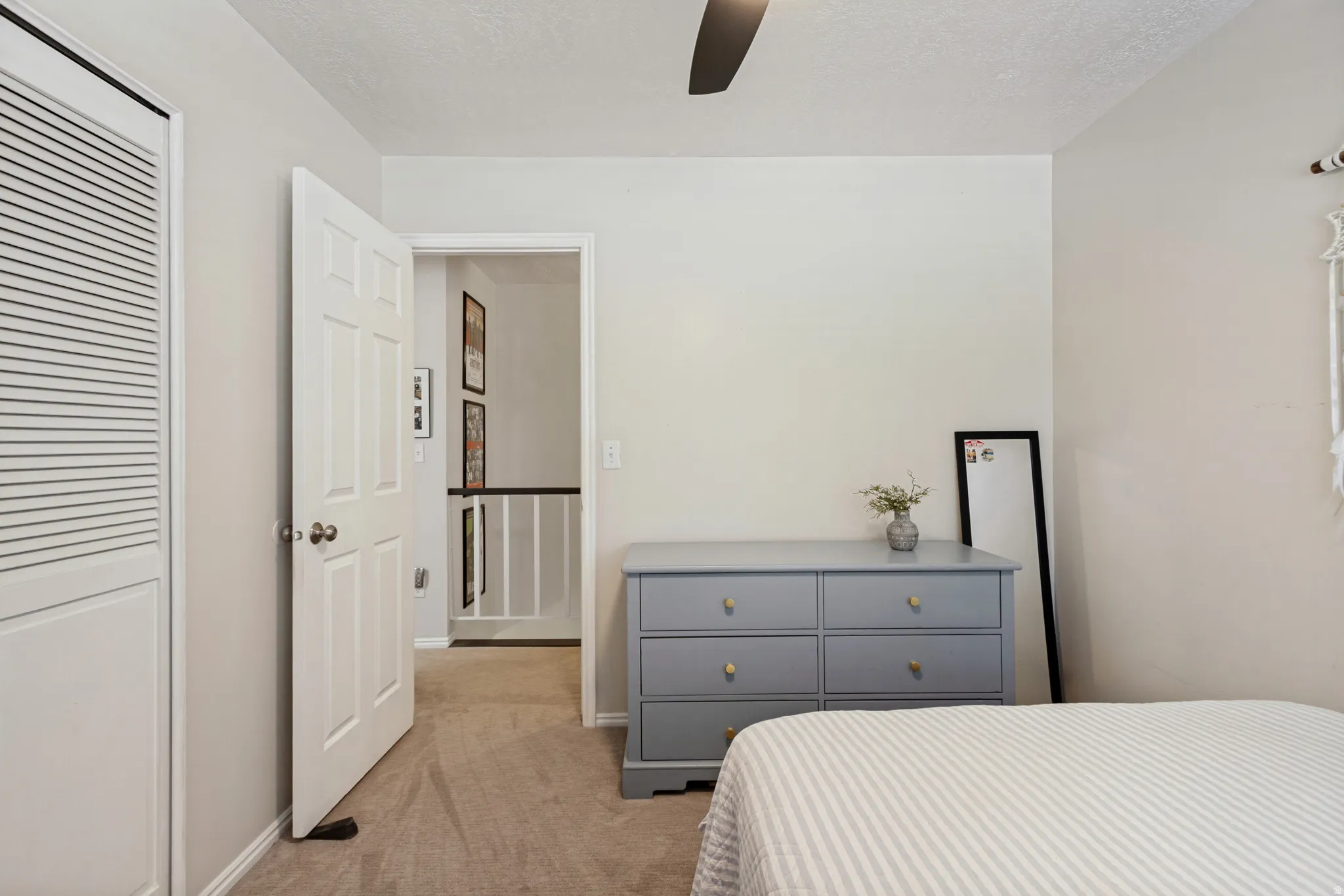 Soft neutral wall paint and plush carpet flooring