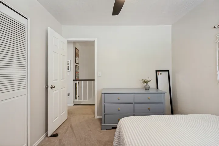 Soft neutral wall paint and plush carpet flooring