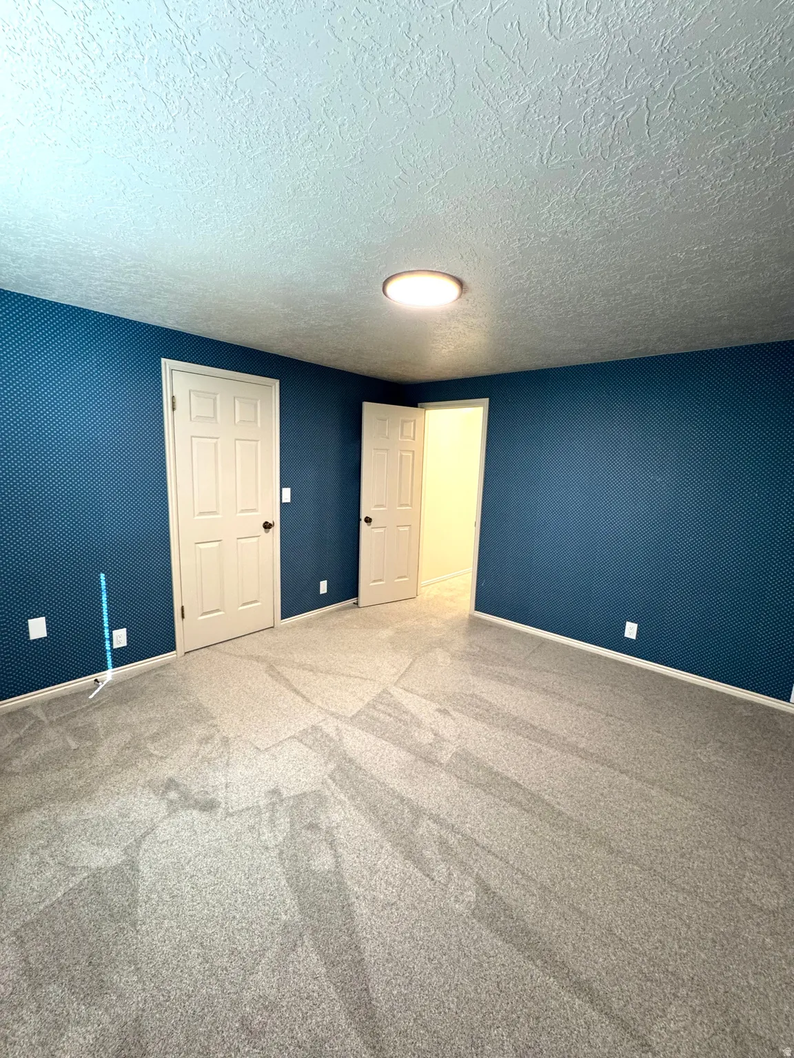 Wall-to-wall carpeting with a light gray finish and a solid blue wall covering