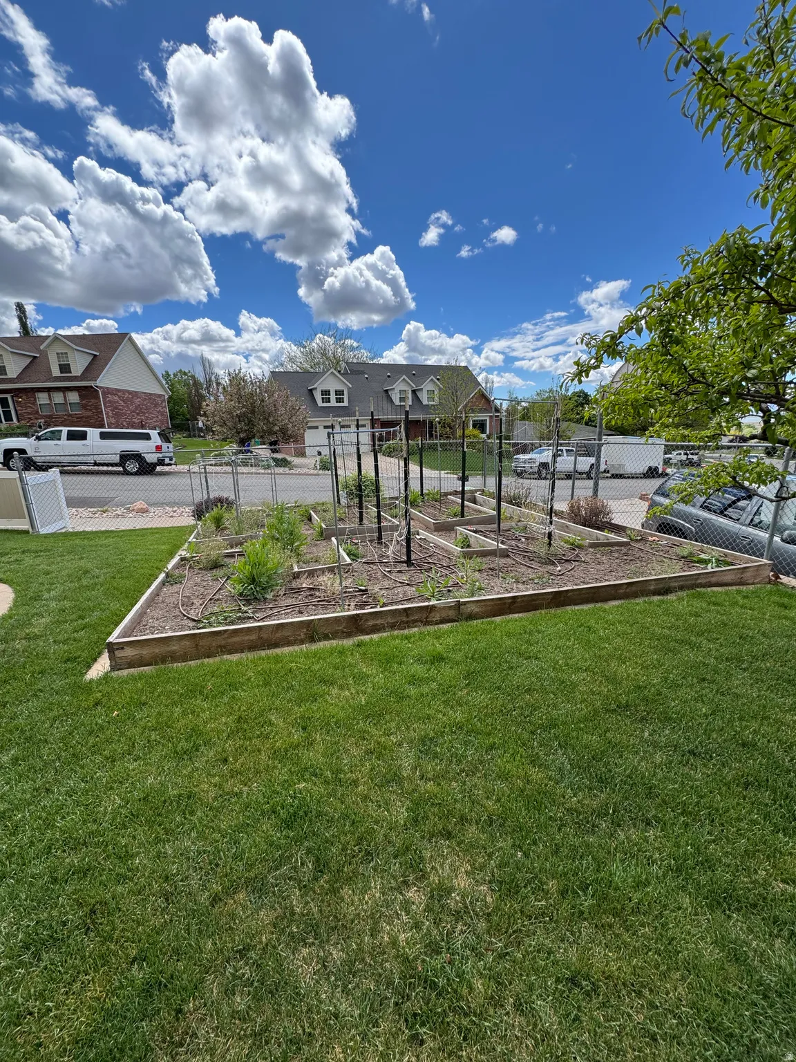 Raised garden beds with established plantings, surrounded by a manicured lawn
