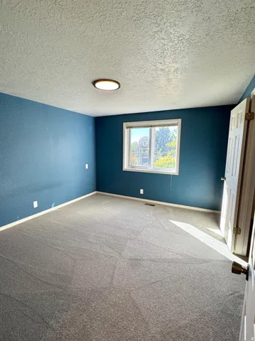 Spacious room with gray carpet flooring and a flush-mount ceiling light fixture